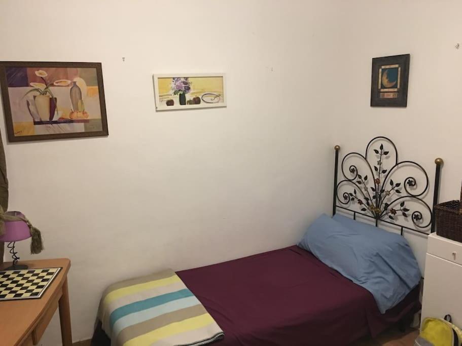 The Oasis One Spacious Apartment In Sevilla Ngoại thất bức ảnh